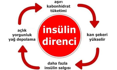 İnsülin Direnci ve Beslenme
